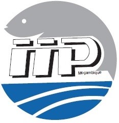 Institution Logo