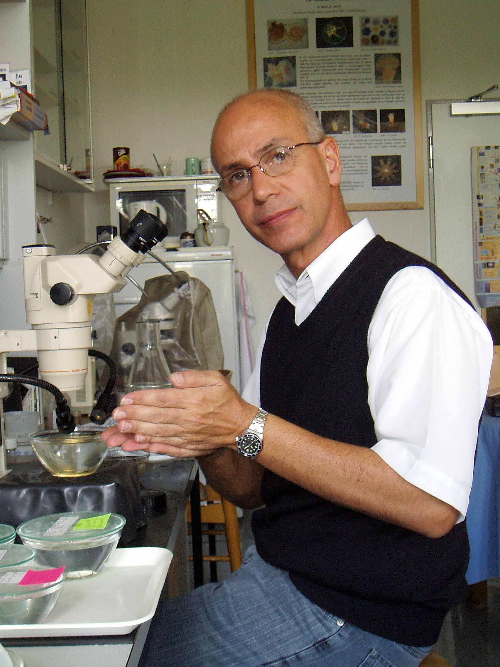 User profile picture