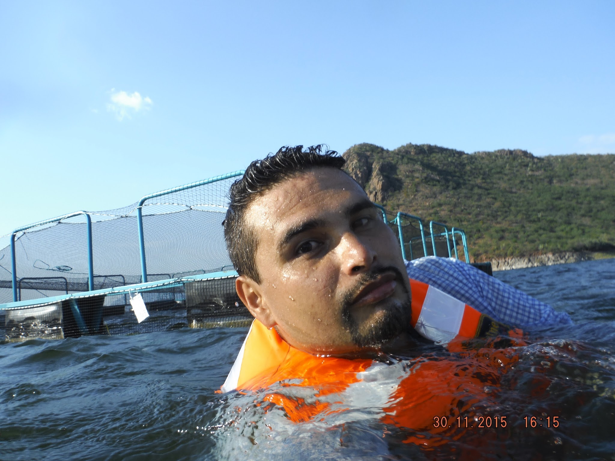 User profile picture