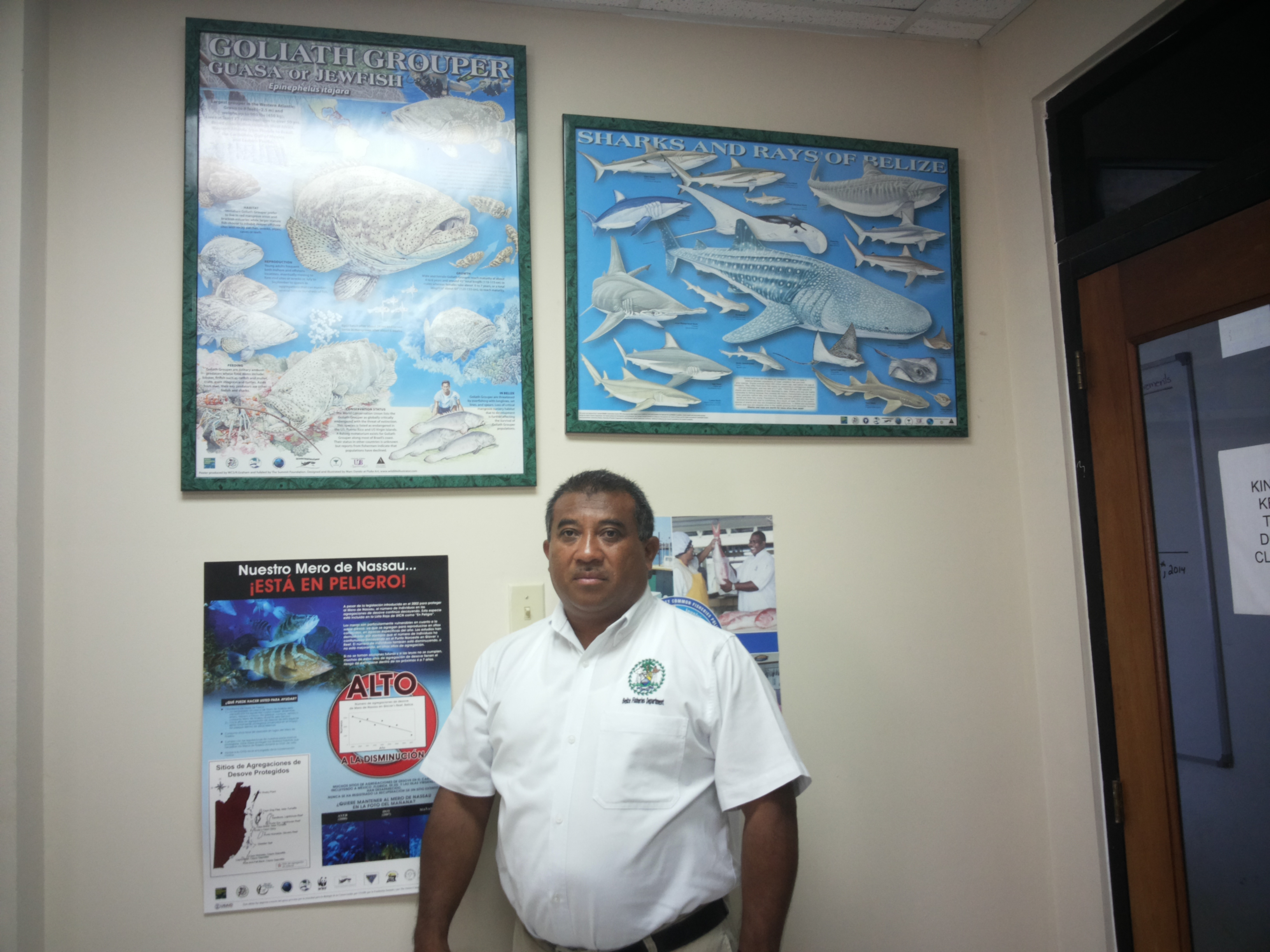 User profile picture