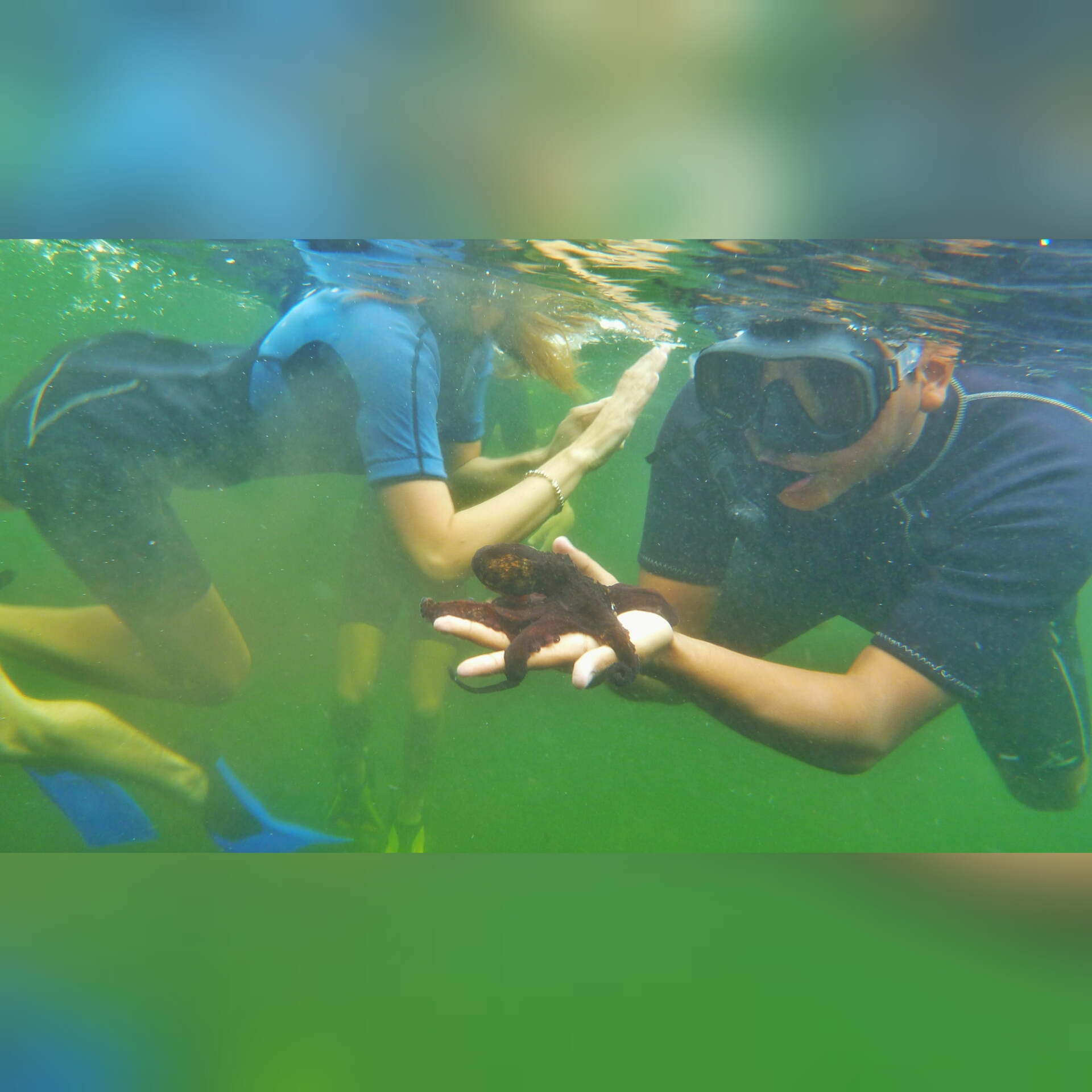 User profile picture