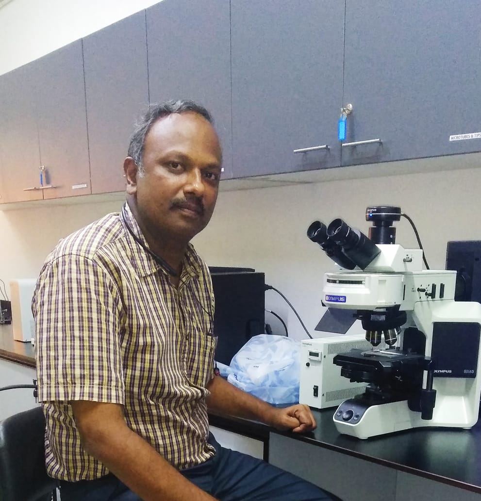 User profile picture