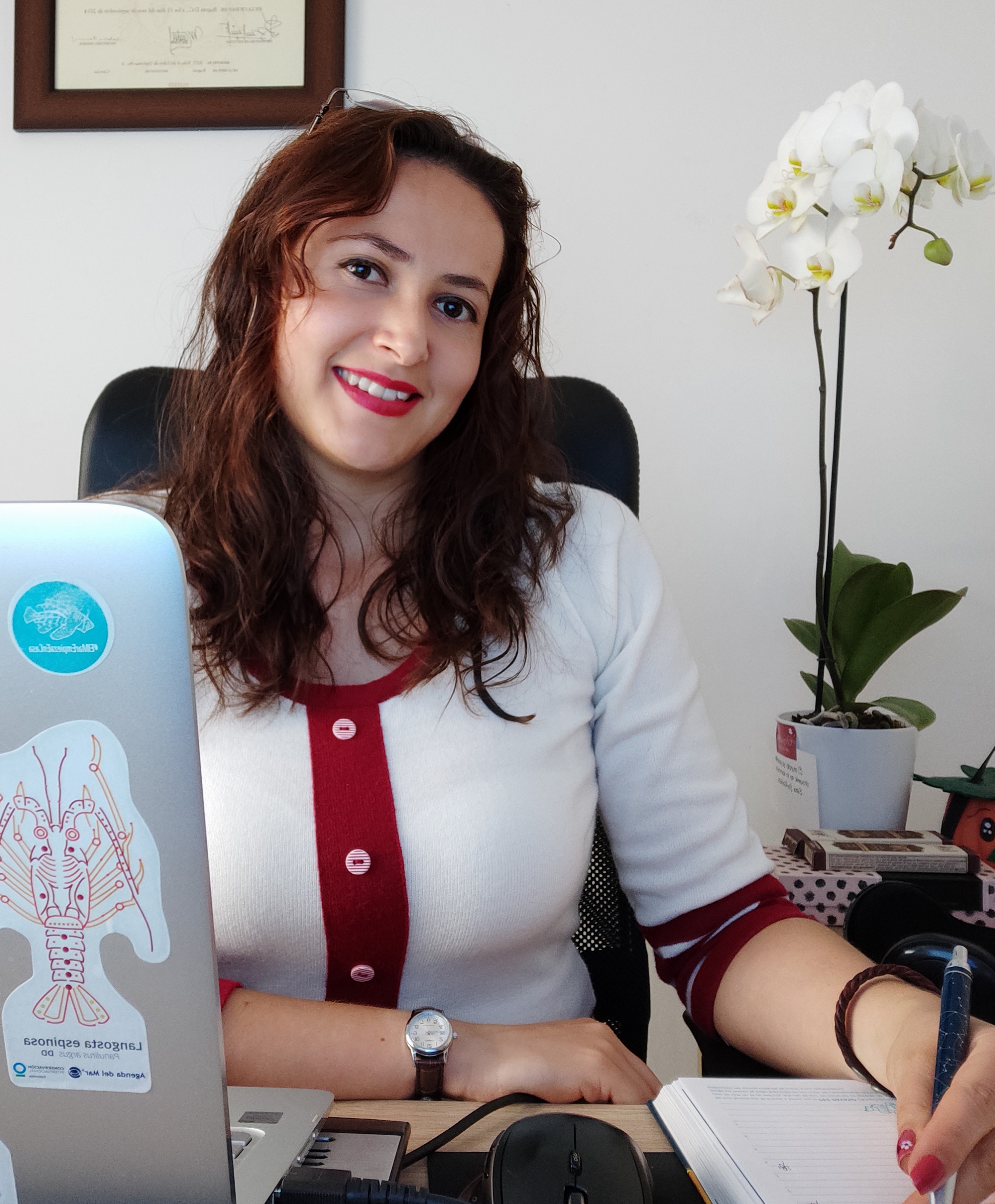 User profile picture