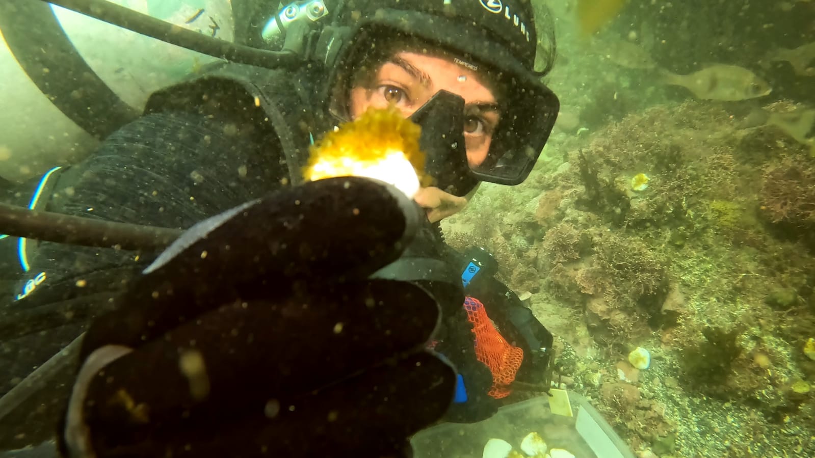 User profile picture