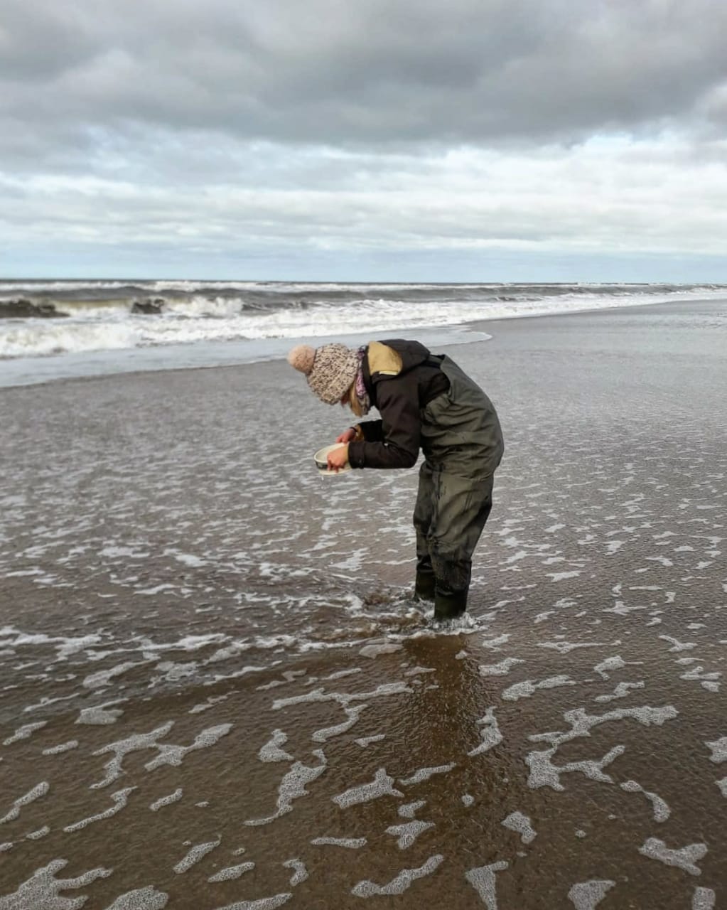 User profile picture