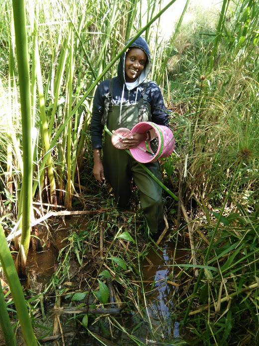 User profile picture