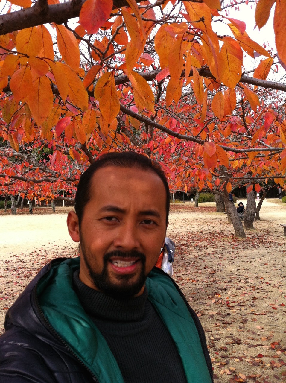 User profile picture