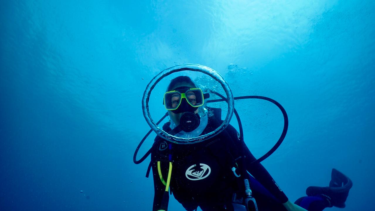 User profile picture