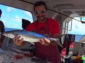 User profile picture