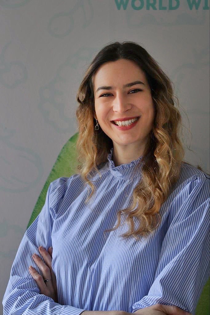 User profile picture