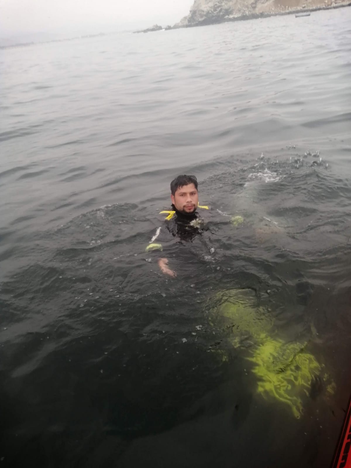 User profile picture