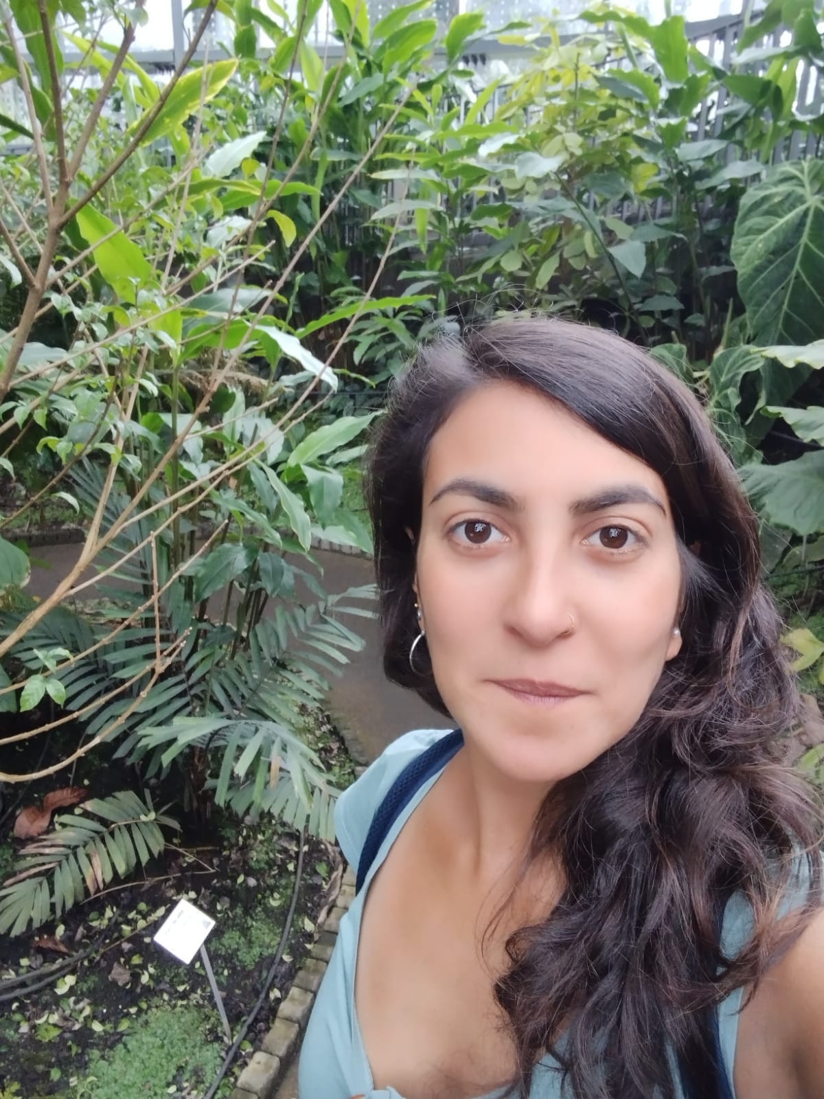 User profile picture