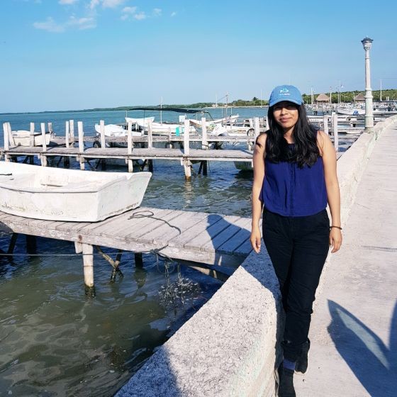 User profile picture