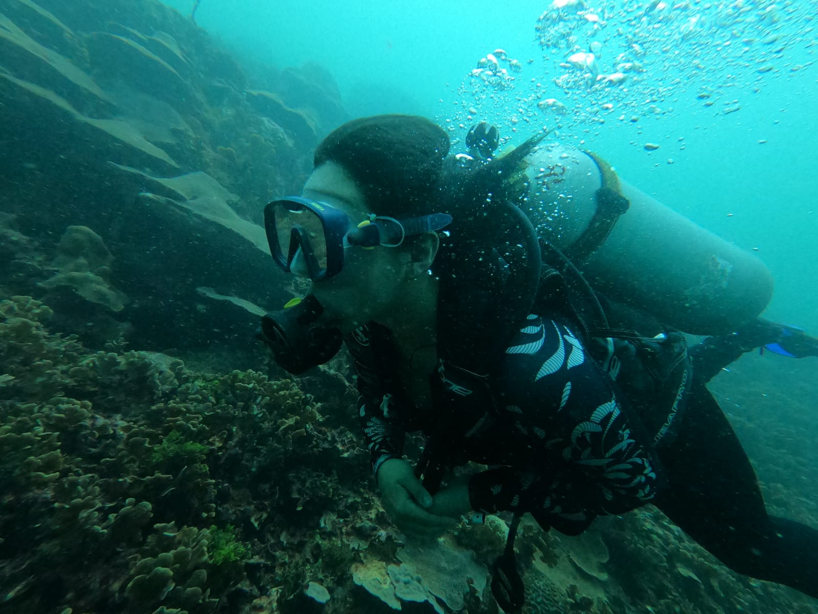 User profile picture