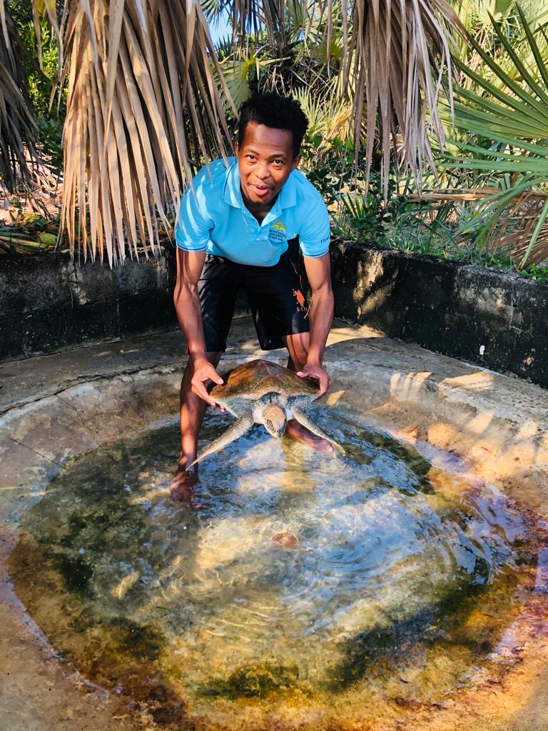 User profile picture