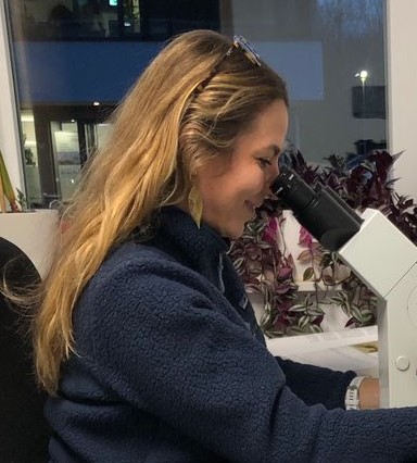 User profile picture