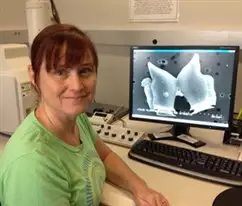 User profile picture