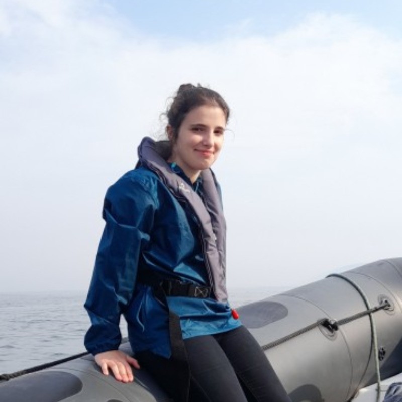 User profile picture