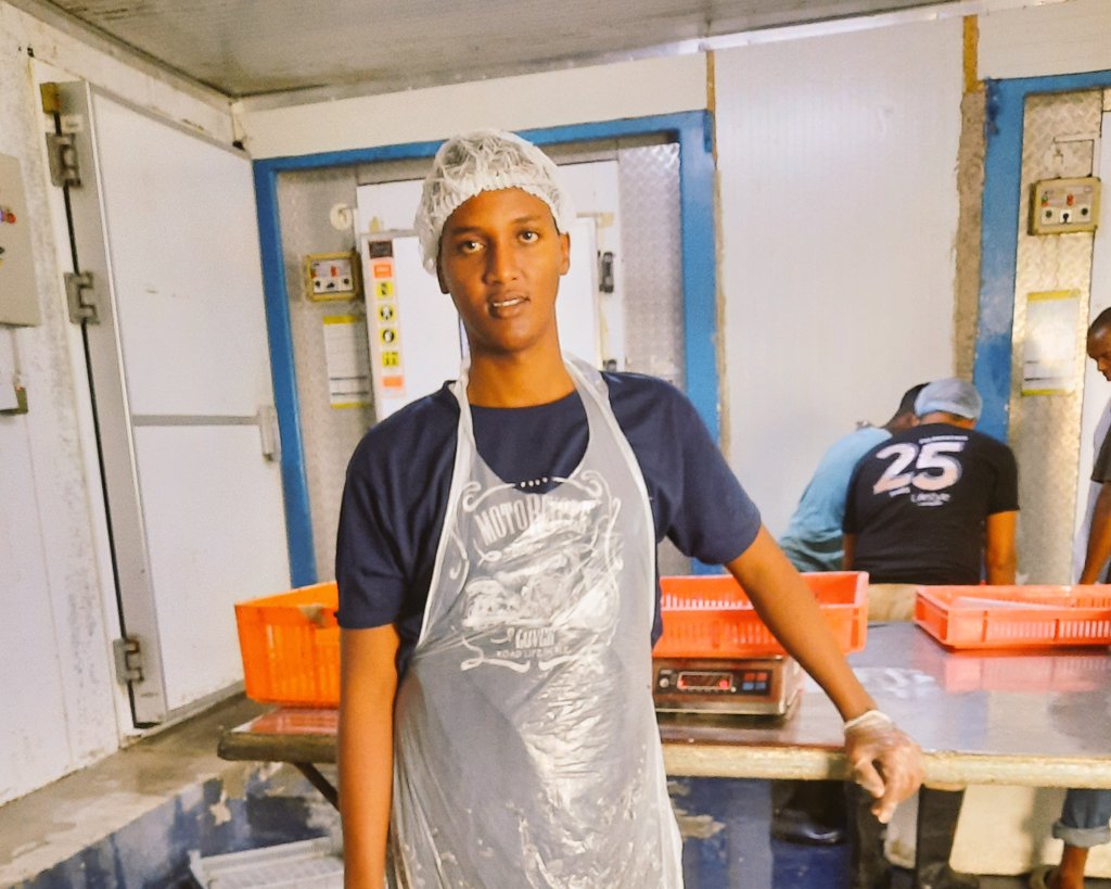 User profile picture