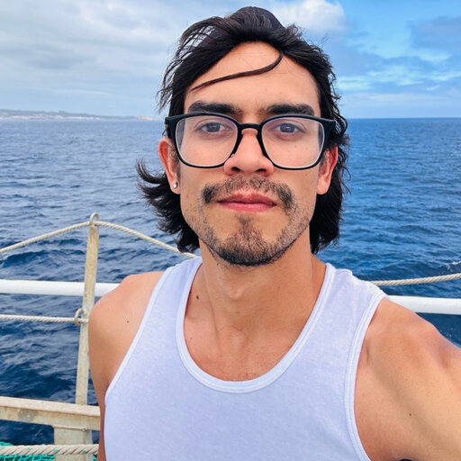 User profile picture