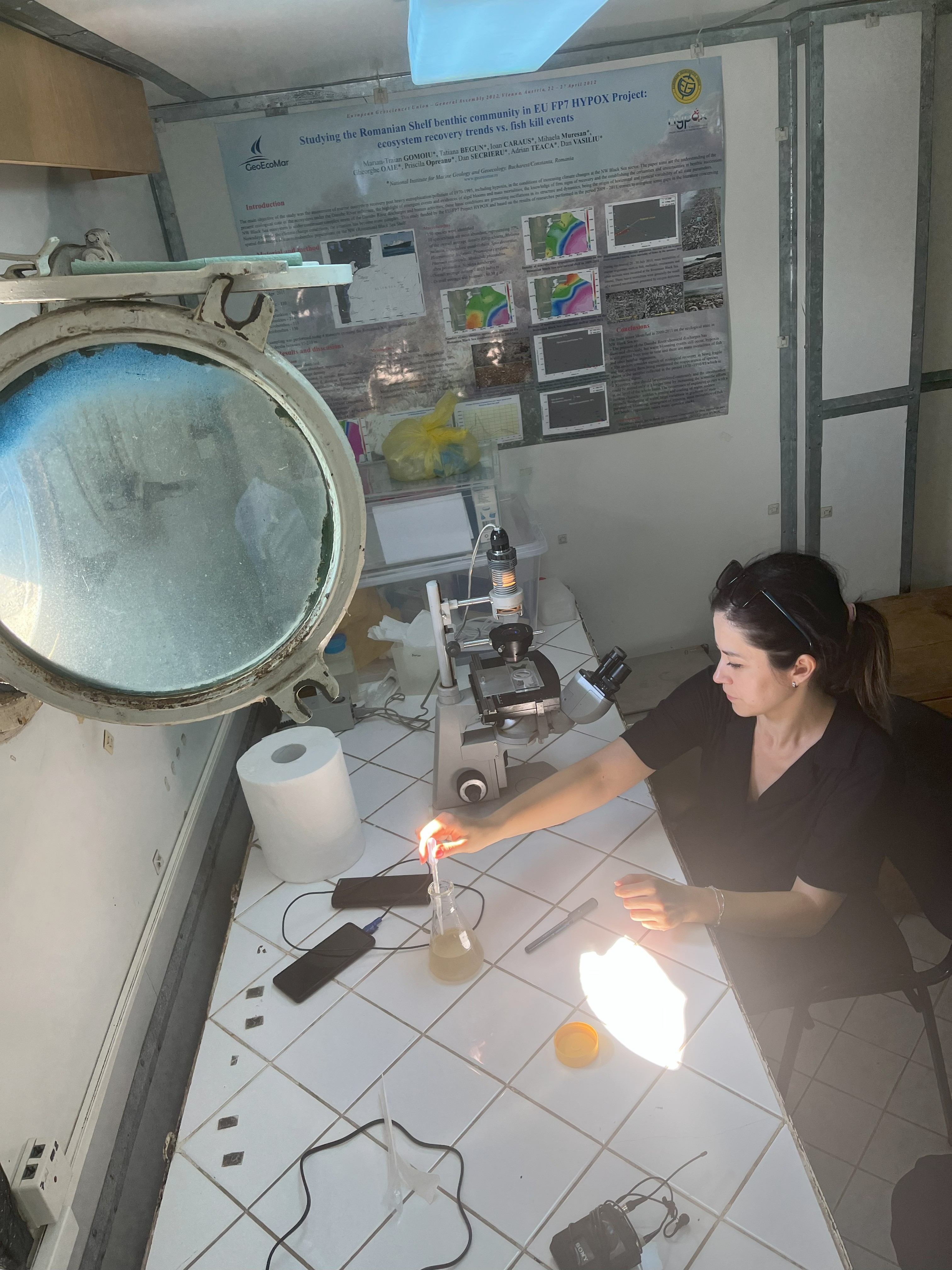 User profile picture