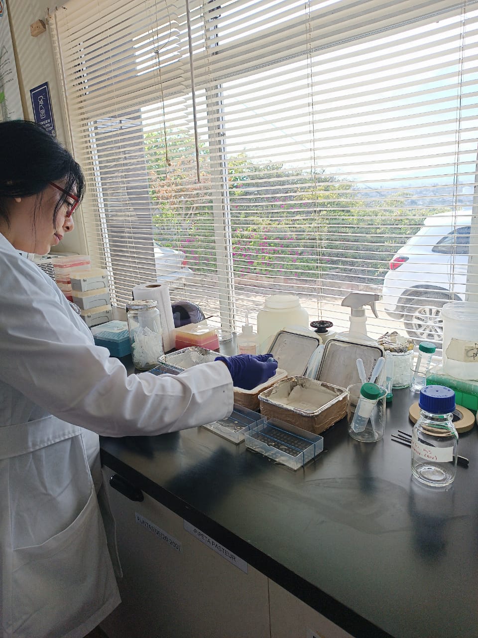 User profile picture