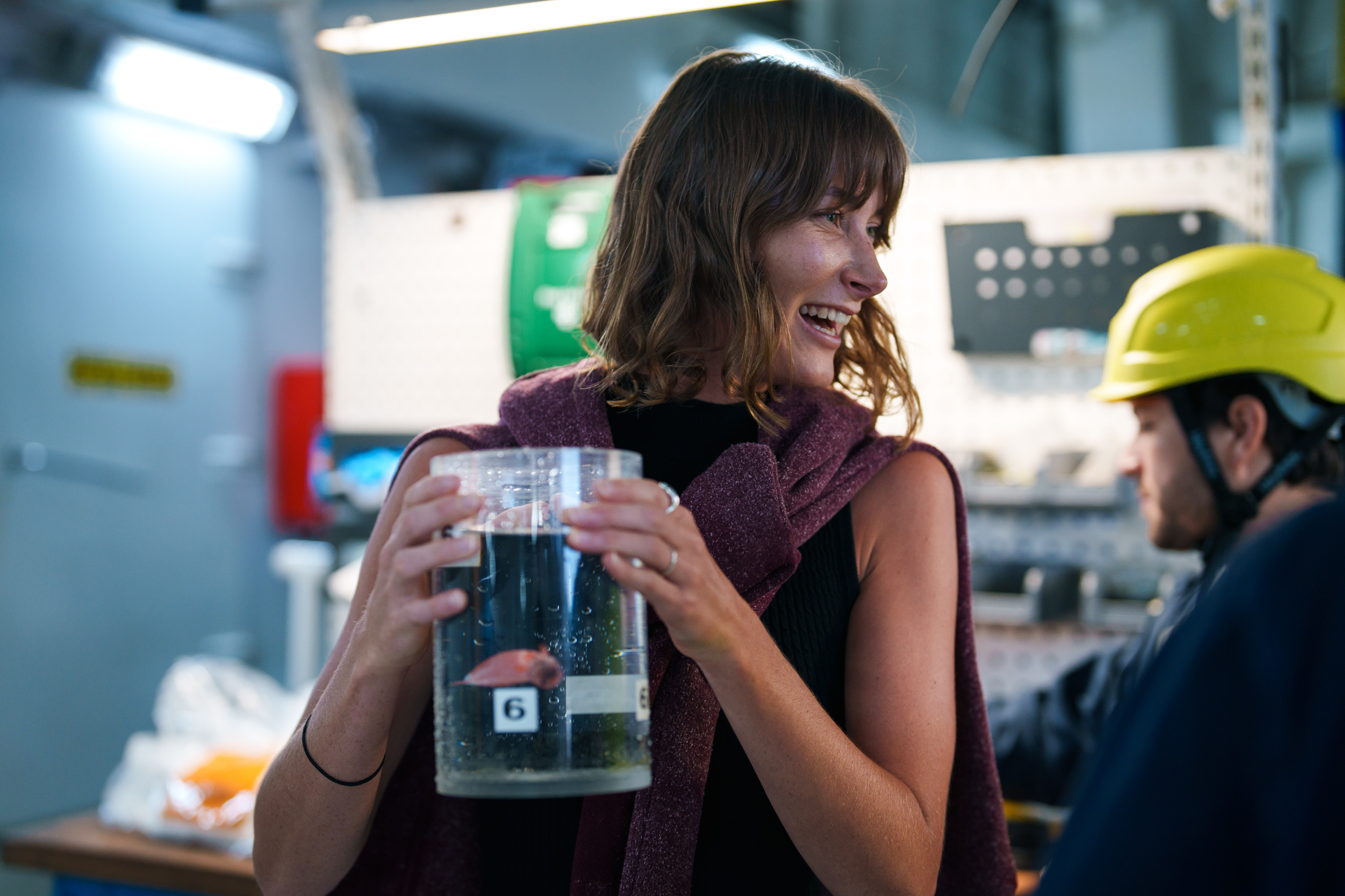 User profile picture