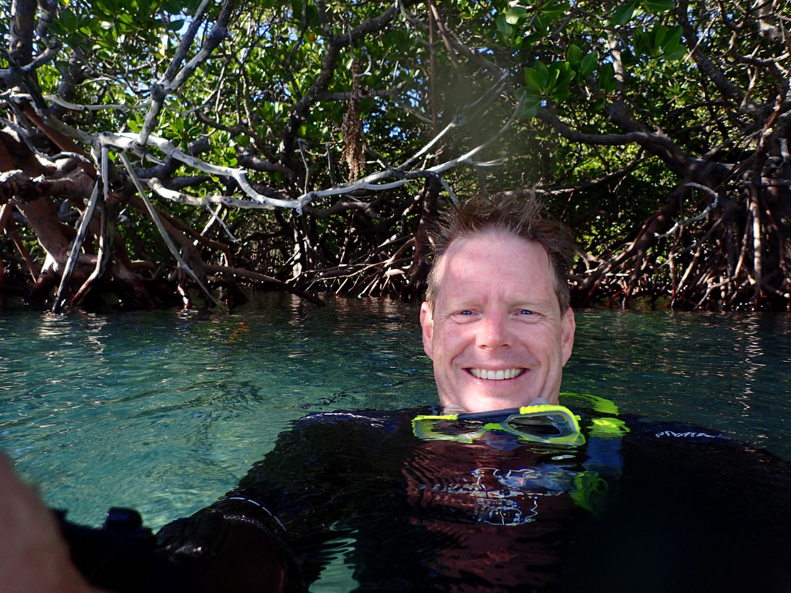 User profile picture